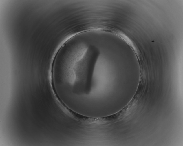 X0000094900811200712061027