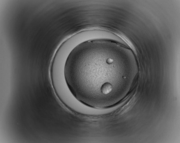 X0000094900813200712061027