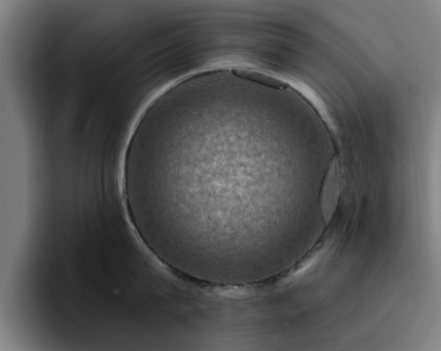X0000094900815200712061027