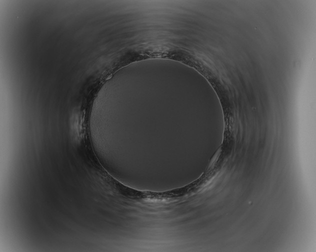 X0000094900818200712061026