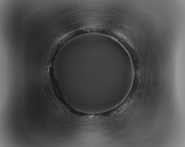 X0000094900822200712061026