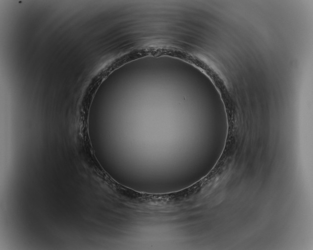 X0000094900823200712061026