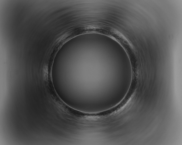 X0000094900825200712061027