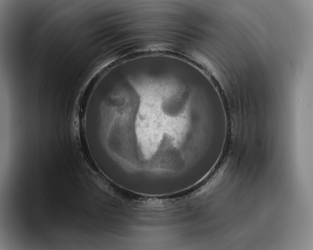X0000094900827200712061027
