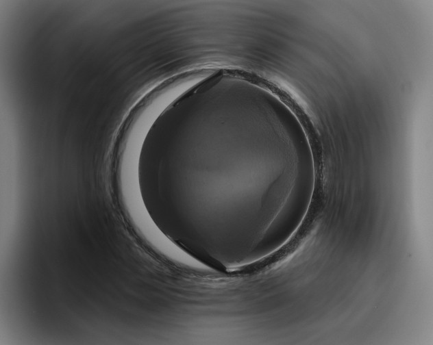 X0000094900829200712061027