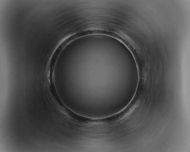 X0000094900830200712061027