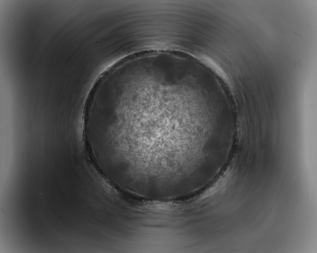 X0000094900831200712061027