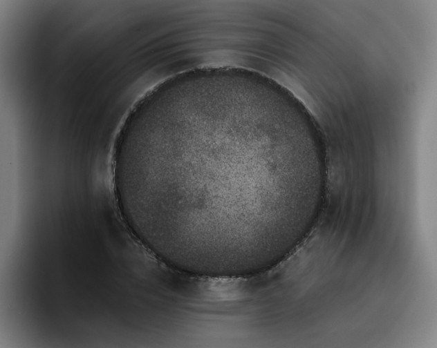 X0000094900832200712061027