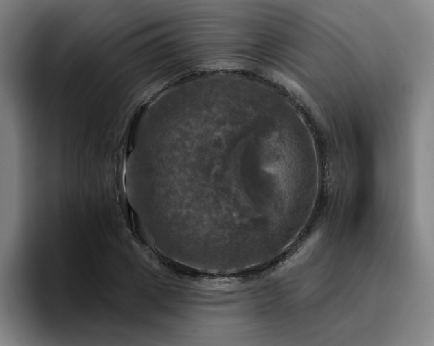 X0000094900833200712061027