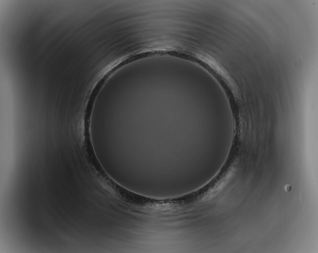 X0000094900834200712061027