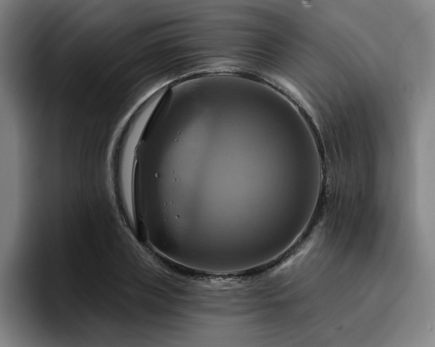 X0000094900835200712061027