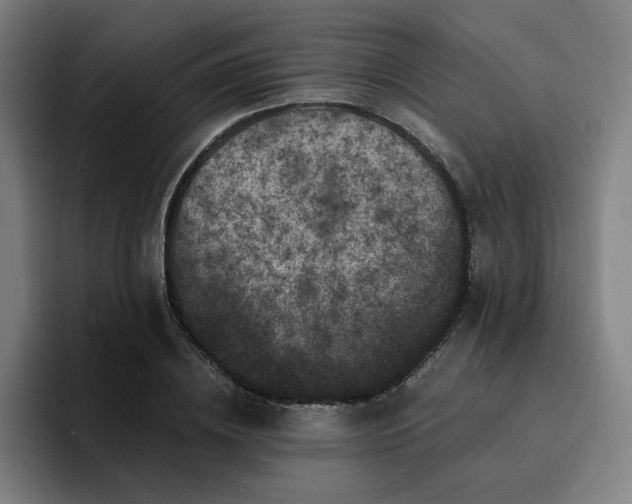 X0000094900836200712061027