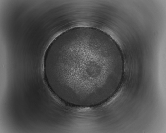 X0000094900837200712061027