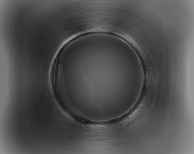 X0000094900838200712061027
