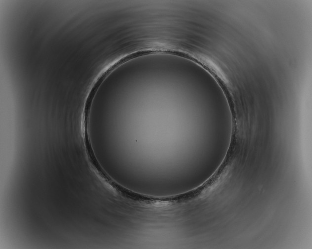 X0000094900839200712061027