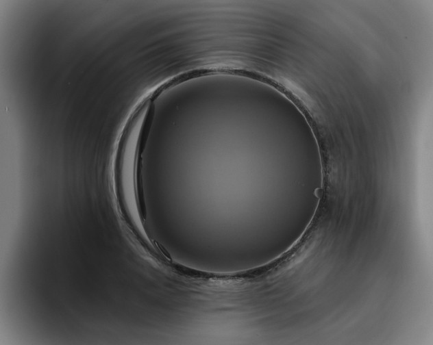 X0000094900840200712061027