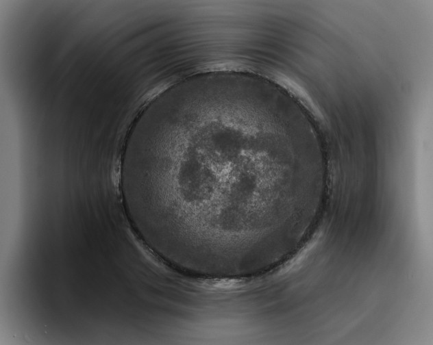 X0000094900841200712061027