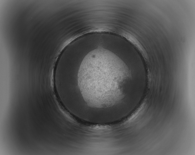 X0000094900842200712061027