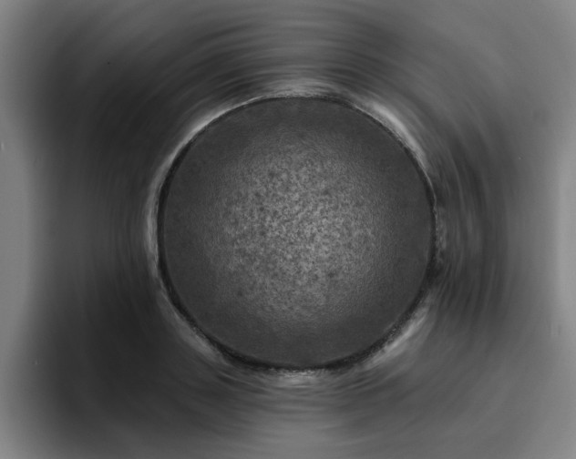 X0000094900843200712061027