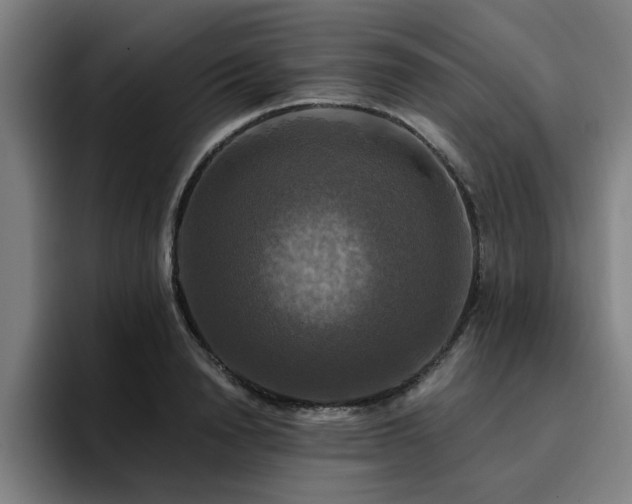 X0000094900846200712061027
