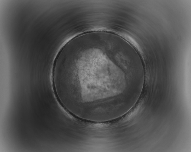 X0000094900847200712061027