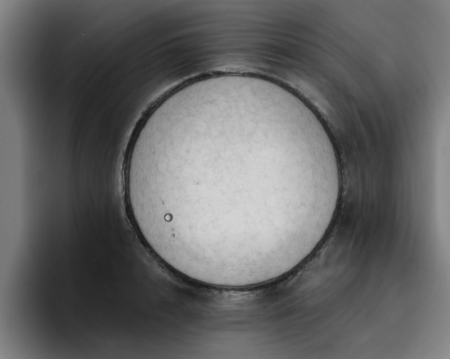 X0000094900848200712061027