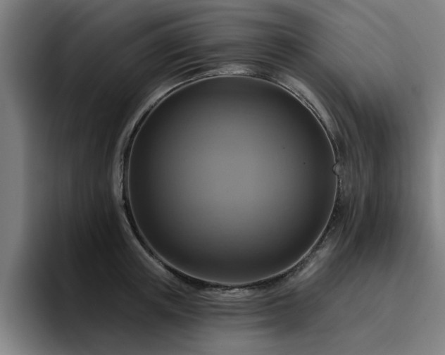X0000094900851200712061027