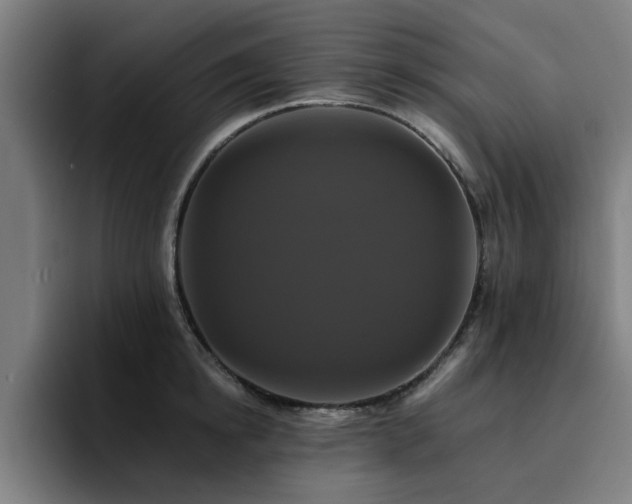 X0000094900854200712061027