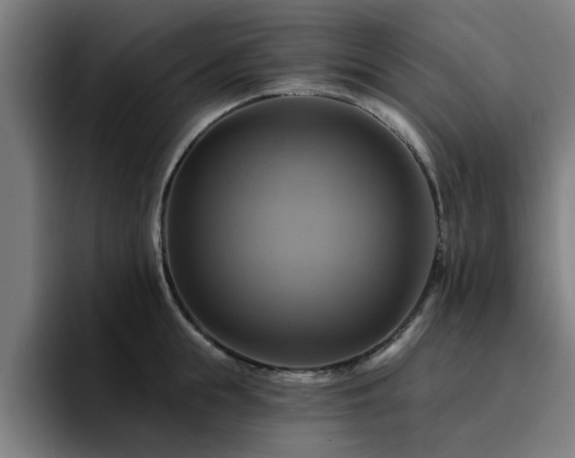 X0000094900855200712061027