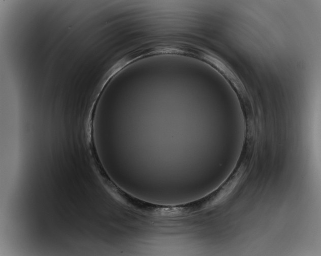 X0000094900858200712061027