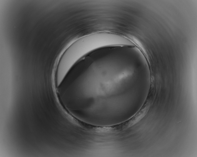 X0000094900859200712061027
