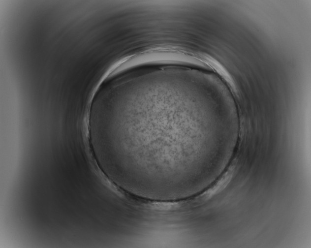 X0000094900860200712061027