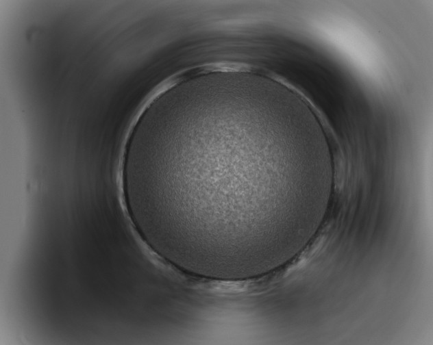 X0000094900861200712061027