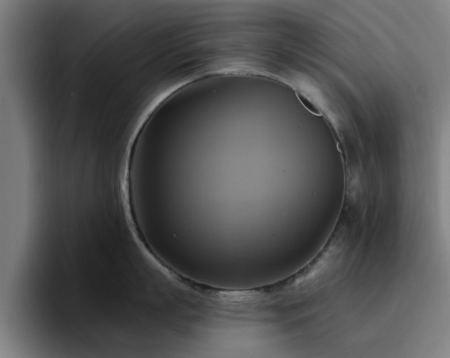 X0000094900863200712061027
