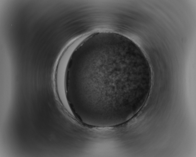 X0000094900864200712061027
