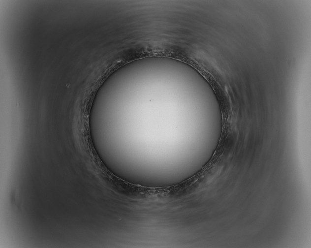 X0000094900865200712061026