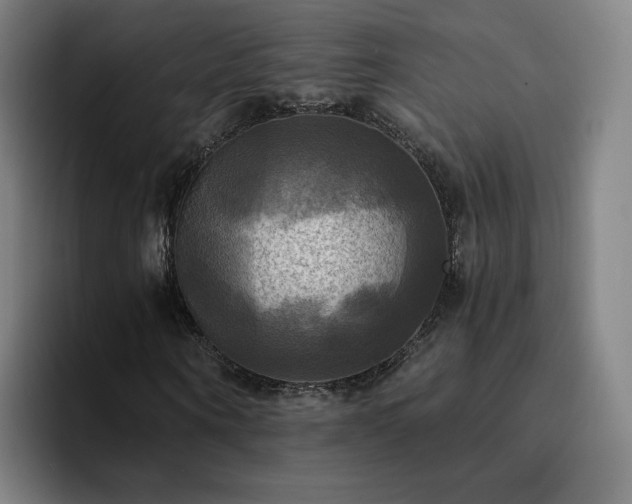 X0000094900866200712061026
