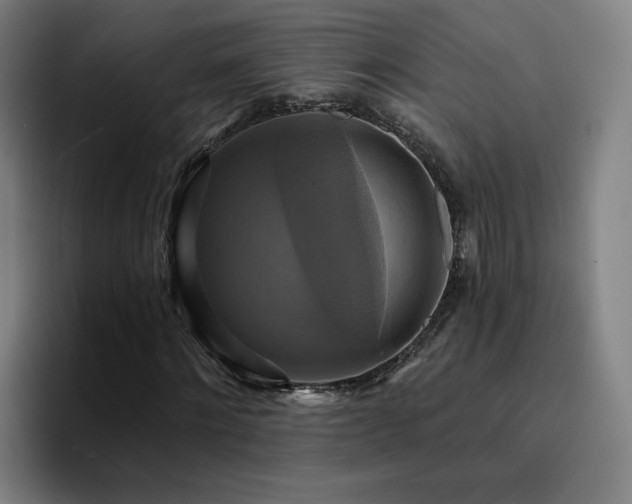 X0000094900868200712061026