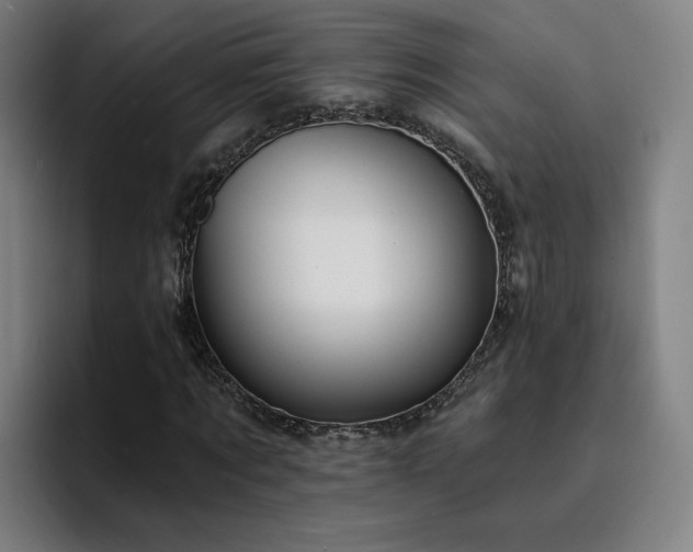 X0000094900869200712061026