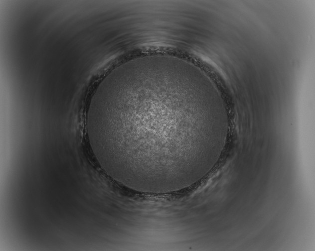 X0000094900870200712061026