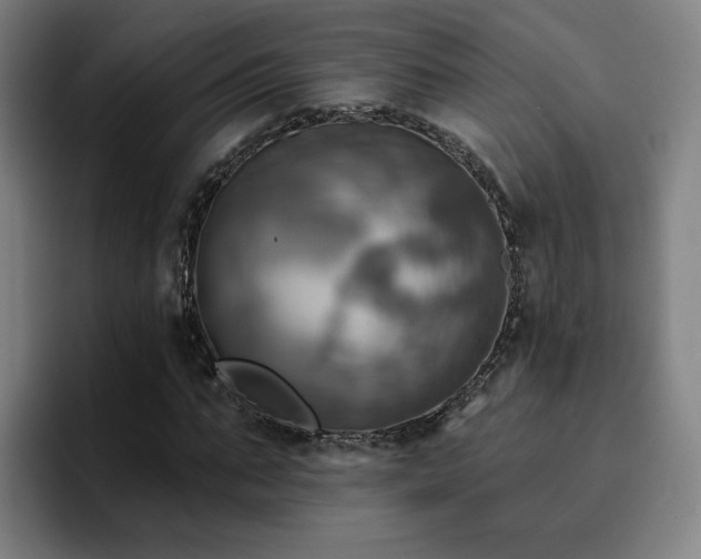 X0000094900871200712061026