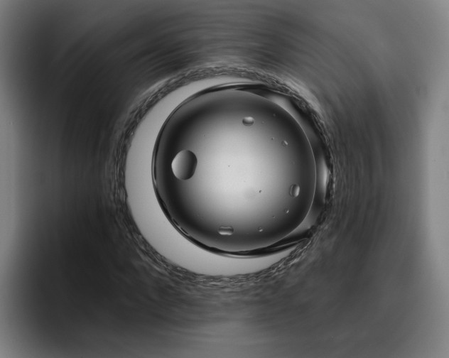 X0000094900872200712061026