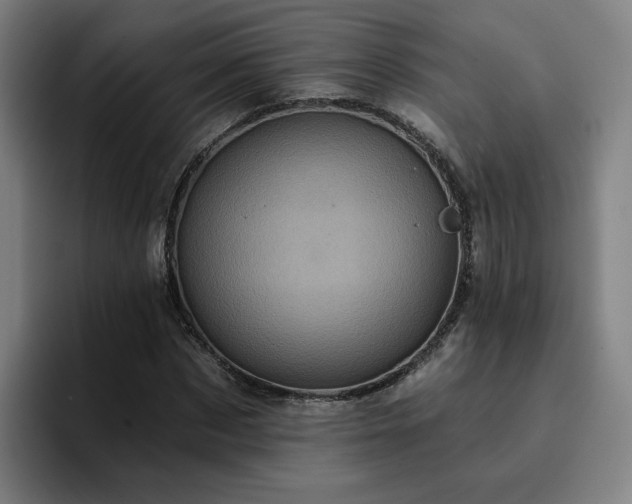 X0000094900873200712061026