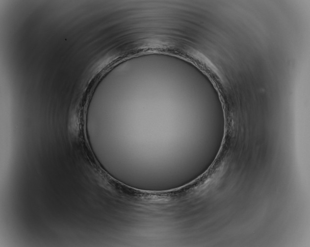 X0000094900874200712061026