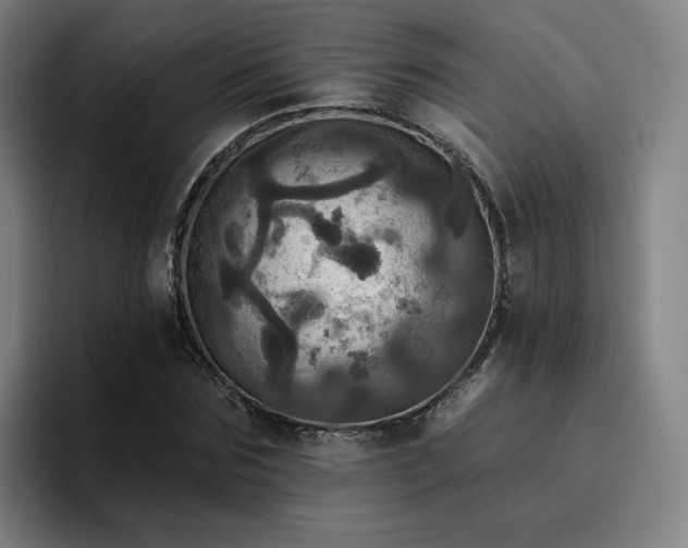 X0000094900875200712061026