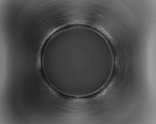 X0000094900877200712061026