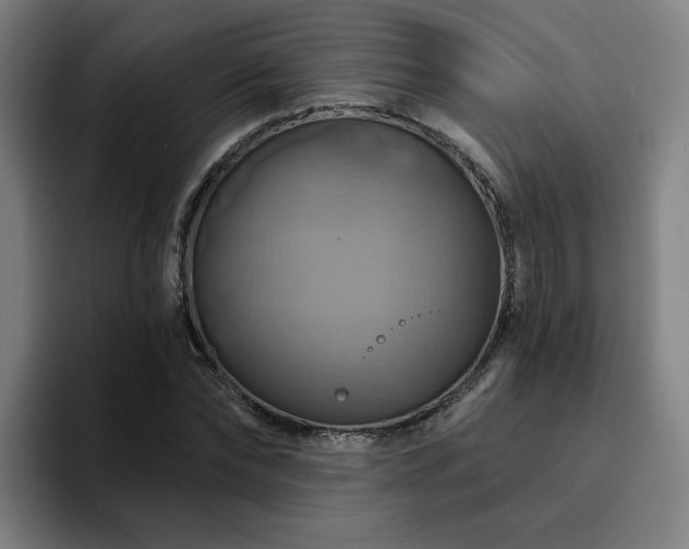 X0000094900878200712061026