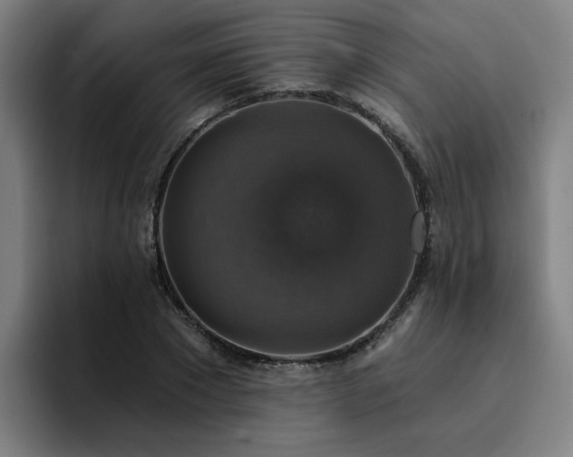 X0000094900881200712061026