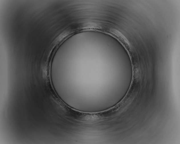 X0000094900882200712061026