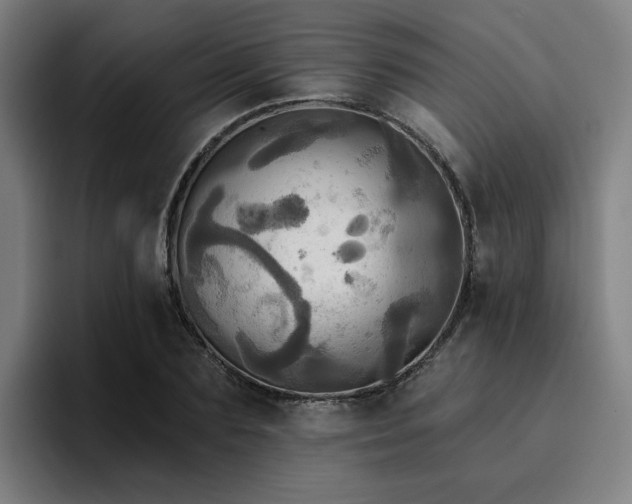 X0000094900883200712061026